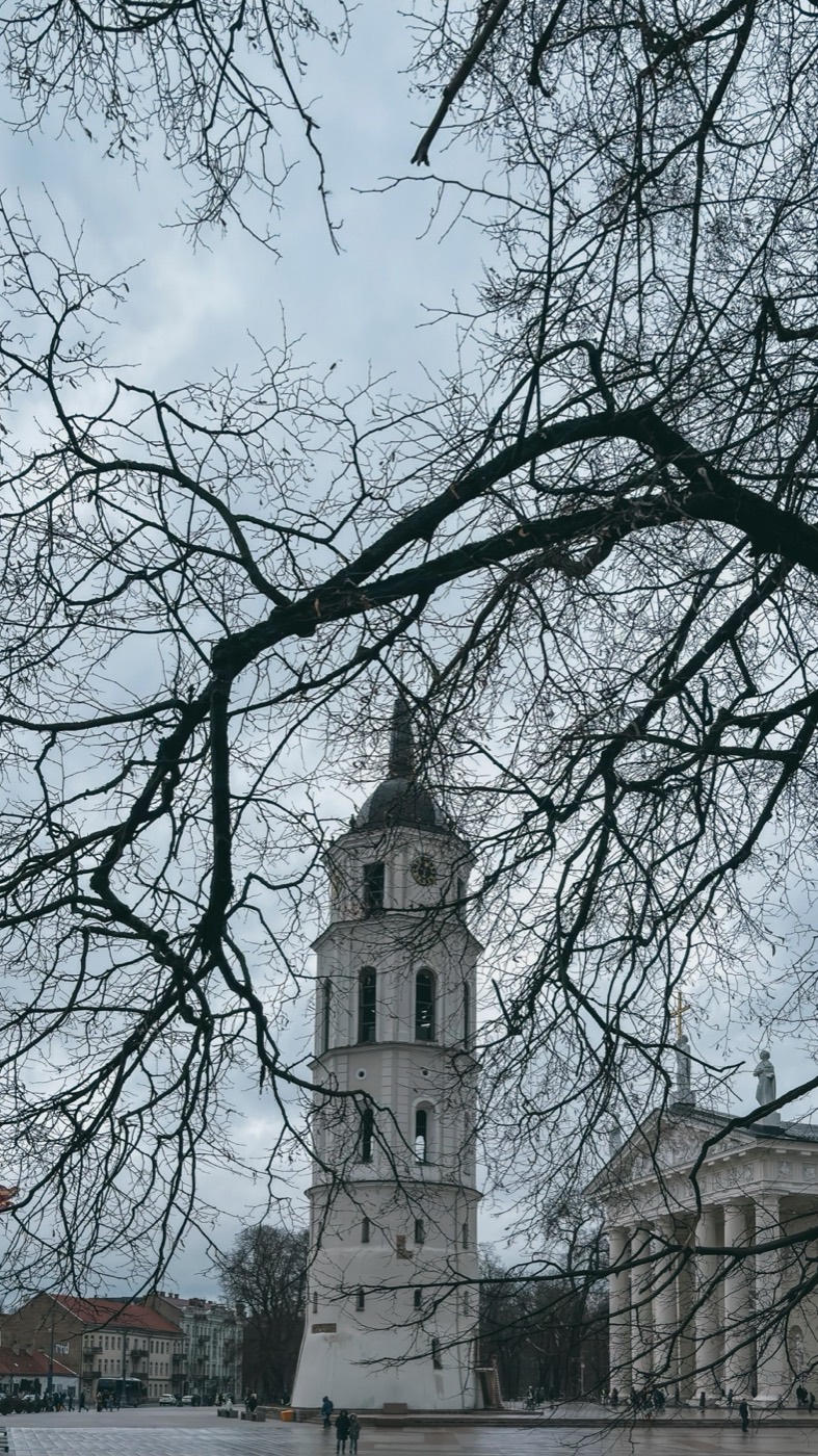 Katedros aikštė, Vilnius